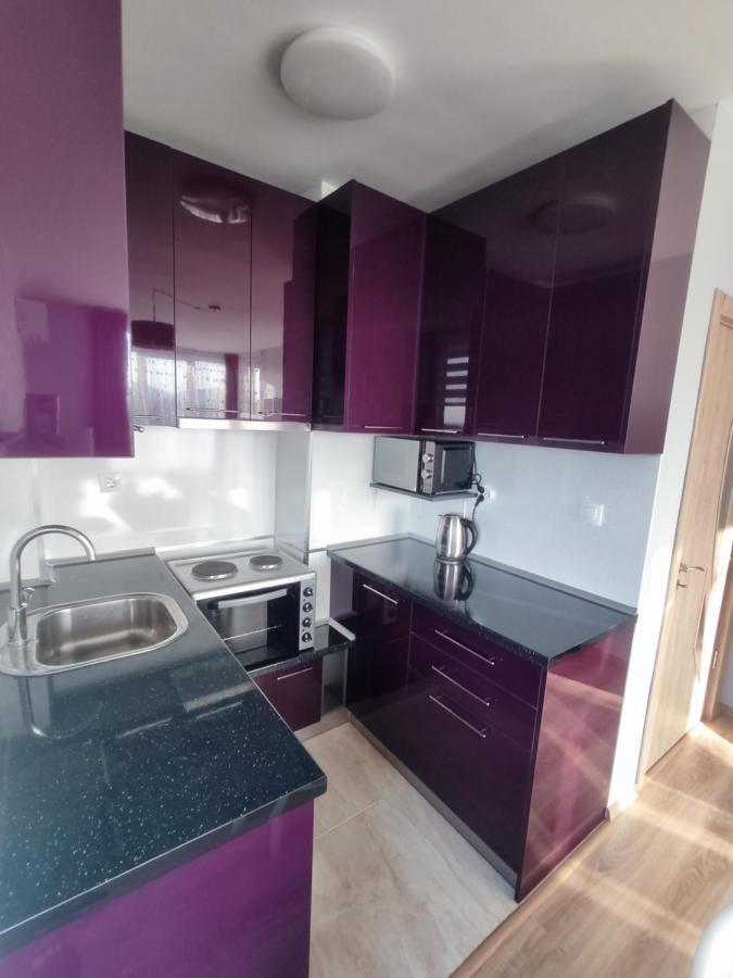 Mountain View Apartment Sofia Zewnętrze zdjęcie